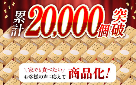 【全6回定期便】ハンバーグ 10個入 累計20,000個突破！ふわとろハンバーグ 長崎和牛 ご自宅用【ワールドミート】 [YF07] ハンバーグ ふわとろハンバーグ 肉 ハンバーグ ふわとろハンバーグ