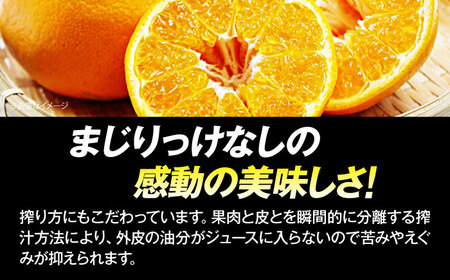 【先行予約】【2025年4月上旬から順次発送】はるみジュース　2本　愛媛県大洲市/ORANGE LINE 果物 みかんジュース デザート 果汁100％ ストレートジュース オレンジジュース[AGCT0