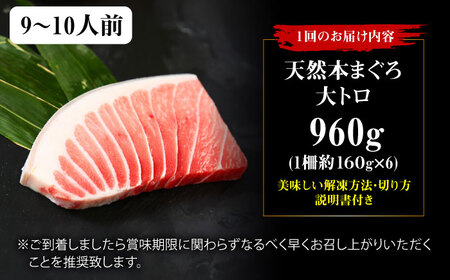 【全12回定期便】たね熟天然本まぐろ大トロ(960g) [AOCE030] まぐろ