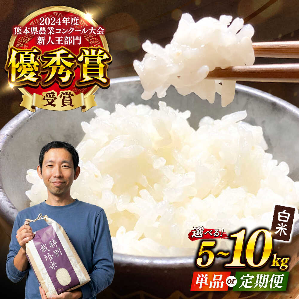 【ふるさと納税】【令和8年熊本地震復興支援】【先行予約 令和8年度】《選べる容量・お届け回数》くまさんの輝き 白米 5kg /10kg / 白米 米 こめ コメ お米 はくまい 精米 米 お米 精米 ライス こめ お米 【坂本農園】[AYCC021]