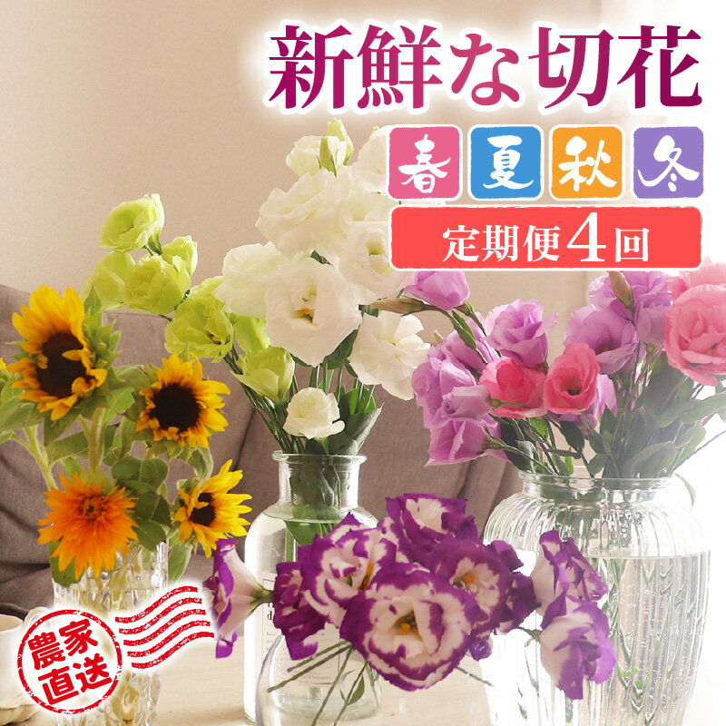 【ふるさと納税】花農家直送 新鮮な切花【選べる季節：春 / 夏 / 秋 / 冬 / 春夏秋冬】 / 生花 お花 旬の花束 豊かな生活 花のある生活 15本程度 2種 季節 年4回お届け