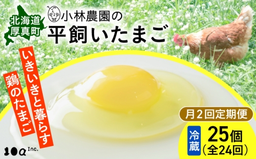 【月2回・全24回定期便】【冷蔵配送】小林農園の平飼いたまご・無投薬 25個《厚真町》【テンアール株式会社】 有精卵 卵 鶏卵 玉子 生卵 平飼い 北海道 定期便 [AXAN028]