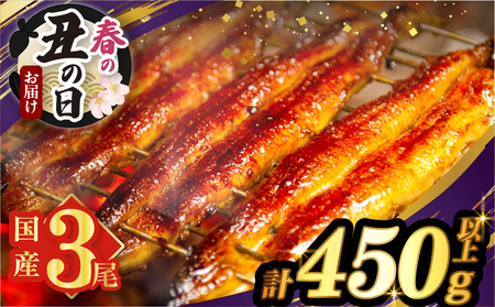 【春の丑の日までにお届け!!】うなぎ蒲焼3尾(さんしょう・たれ付き)計450g以上 鰻 魚 魚介 加工品 国産_T026-0145-US1