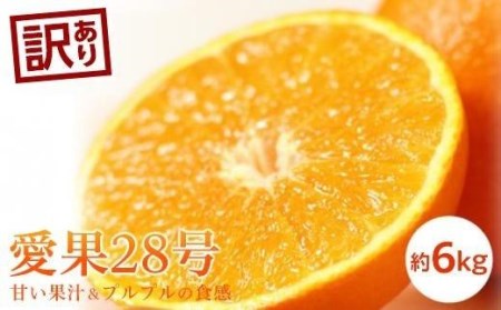 【11月中旬から発送予定】＜訳あり＞愛果28号 約６kg （ 愛媛産 愛媛県産 国産 愛媛みかん 愛媛蜜柑 愛媛ミカン みかん ミカン mikan 蜜柑 柑橘 フルーツ 果物 くだもの お取り寄せ 産地直送 数量限定 人気 おすすめ 愛媛県 松山市 送料無料 ）【KK0722】