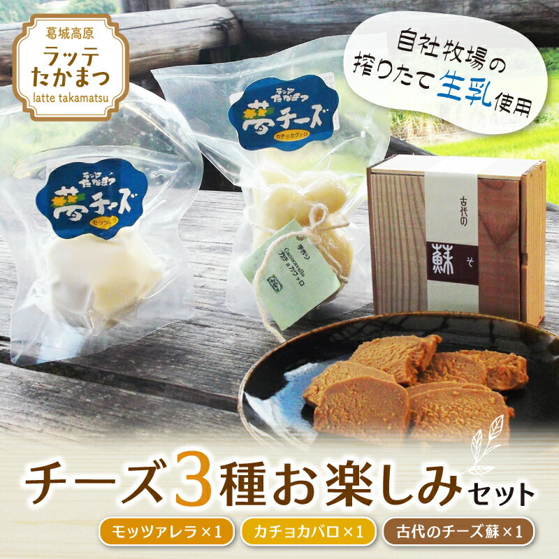 【ふるさと納税】（冷蔵） ラッテたかまつ チーズ 3種お楽しみセット ／ モッツアレラ カチョカバロ 古代のチーズ 蘇