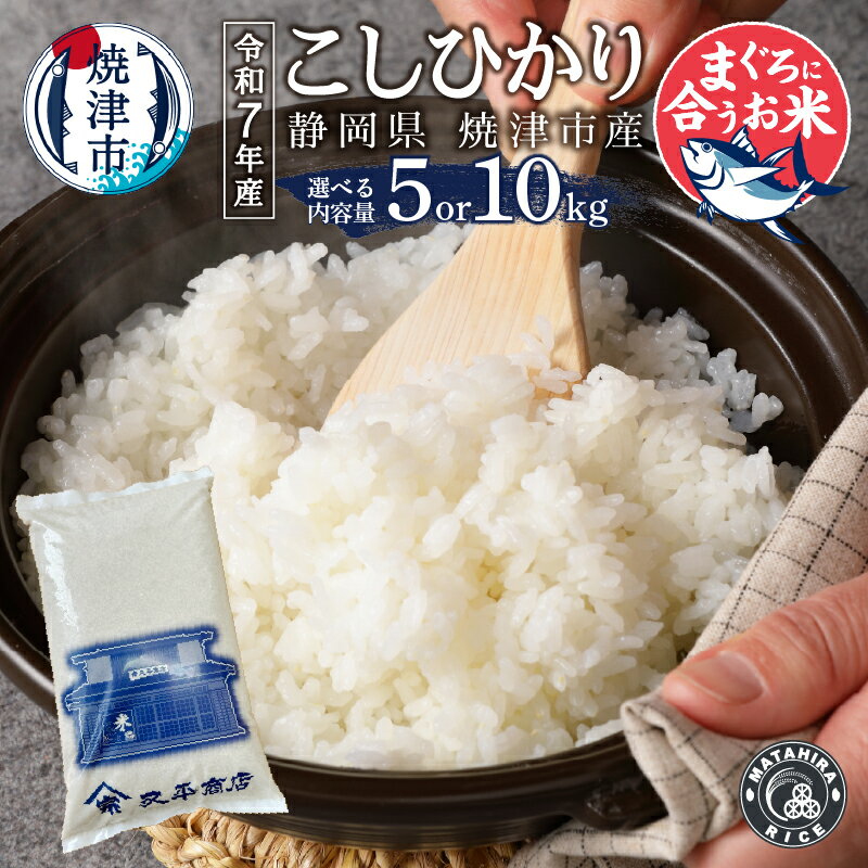 【ふるさと納税】 【選べる内容量】 米 白米 新米 コシヒカリ 令和7年産 5kg 10kg（5kg×2袋） 老舗米屋 マグロに合う ごはん 焼津 a16-185