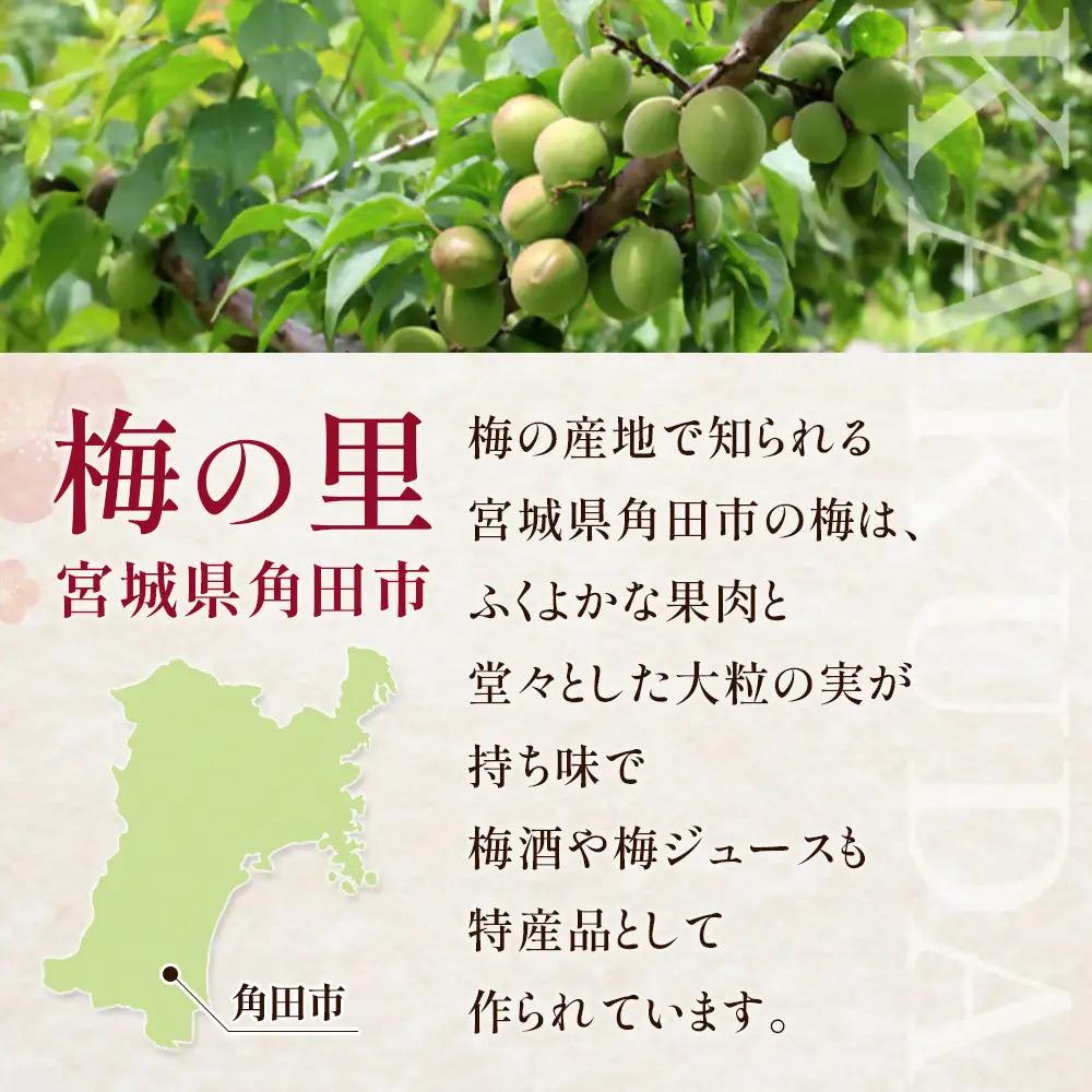 【宮城県角田市】岸浪園の梅酒　青梅　1,800ml×1本 梅酒
