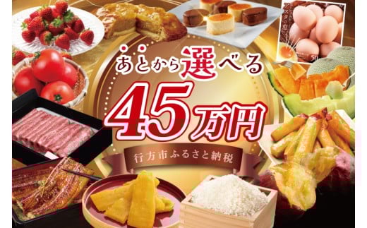 ★あとから選べる★茨城県行方市ふるさとギフト 寄附額：45万円分｜あとから選べる 後から選べる 選べる ギフト 肉 お肉 米 お米 コシヒカリ ミルキークイーン さつまいも サツマイモ 芋 お芋 うなぎ 干し芋 紅はるか スイーツ カタログ 45万円 茨城県 行方市 人気(CU-340)