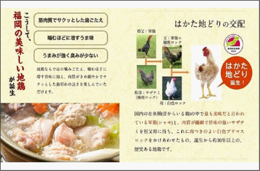 はかた地どり美人水炊き 2～3人前