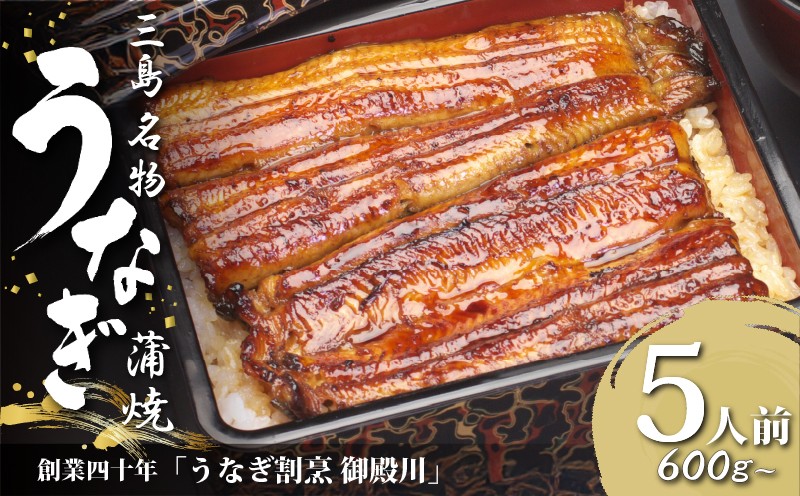 
                  静岡 名産 うなぎ 蒲焼 5人前 600g～ 冷蔵 三島名物 3代続く うなぎ屋 真空パック 御殿川 土用丑の日 晩ごはん 家族 惣菜 鰻 蒲焼き ウナギ 老舗 鰻重 贈り物 ギフト プレゼント 鰻蒲焼 うな重 うな丼 郷土料理 グルメ 簡単調理 静岡うなぎ 三島市 静岡県
                