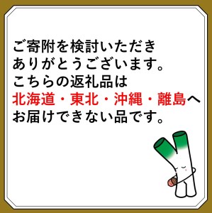 【先行予約　数量限定　12月31日お届け】吾左衛門鮓盛合わせ2025（4～5人前）