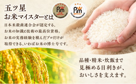 R7・8年産 新潟ブレンド米 5kg 新潟県 新潟市産 令和8年産 お米 精米 米 ご飯 送料無料