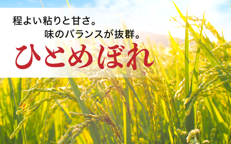 無洗米 ひとめぼれ 5kg 5回定期便  |  無洗