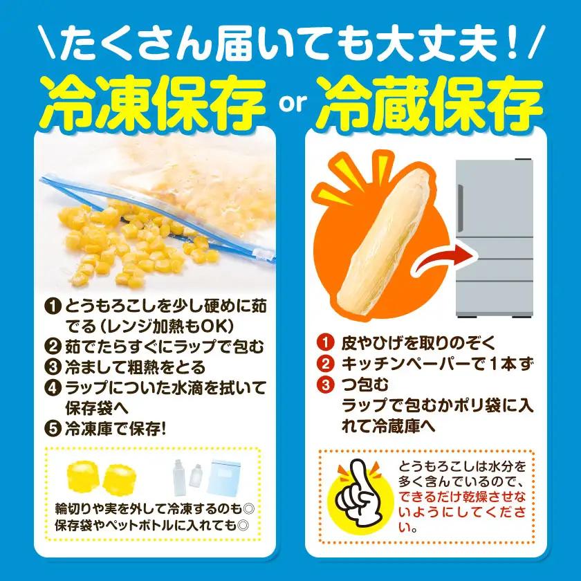 トウモロコシ 味来 夏祭り 約5kg 13本前後《6月中旬-7月中旬頃出荷予定》【配送不可地域あり】(北海道・沖縄・離島)