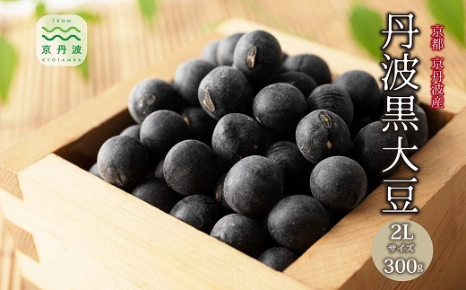 【 年内発送 】 丹波黒大豆 2Lサイズ 300g お正月 おせち用 京都 京丹波町産 丹波黒豆 新豆 国産 お取り寄せ ご当地グルメ 生産者限定 令和7年産 2L 生豆 大粒 ※北海道・沖縄・その他離島への配送不可 [009KK001L]