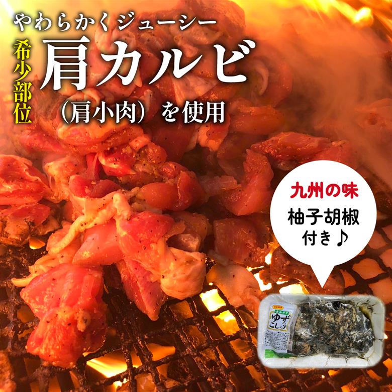 【テレビで紹介！元祖ざる焼き小林養鶏】やわらか炭火焼100g×10Pセット 薬味付き（国産 鶏 鶏肉  小分け 炭火焼  惣菜 調理済 冷凍 宮崎 小林市）
