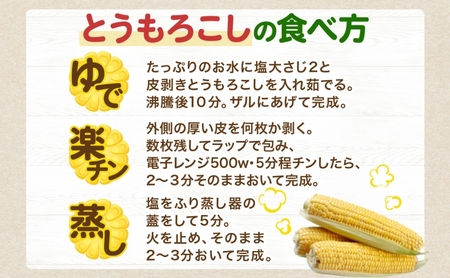 北海道 月浦 めぐみ ゴールド 5kg 先行受付 2026年8月中旬～9月中旬頃お届け とうもろこしトウモロコシ とうきび 恵味 コーン 旬 野菜 甘い 大粒 人気 朝採り 産地直送 青山農園 洞爺湖