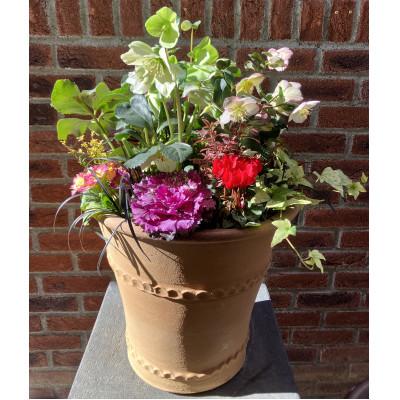 ふるさと納税 茅野市 蓼科高原バラクライングリッシュガーデン季節の寄植え(コンテナガーデン)C |  | 01