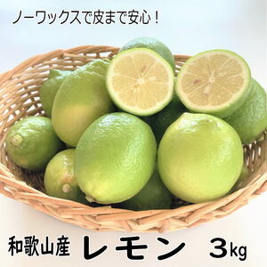 【1013-3】和歌山産レモン/グリーンレモン 3kg 【国産レモン】《先行予約》
