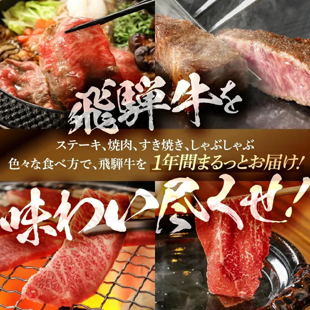 【定期便 12回】飛騨牛まるごと1年味わい尽くし定期便（2～3人前）【70-C】