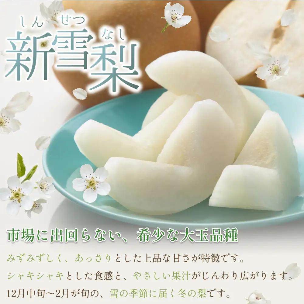 中野農園 梨 ”新雪梨” 5kg箱｜鳥取 岩美 梨 なし ナシ※お届けは2026年12月以降【41023】