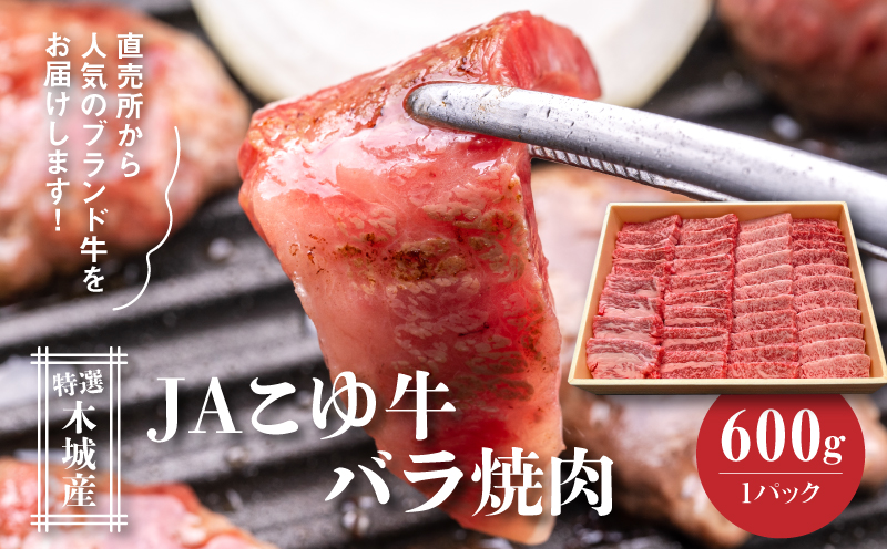 JAこゆ牛 特選木城産 バラ600g 焼肉用 K56_0009