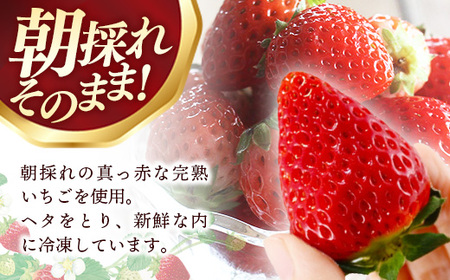 冷凍いちご （ヘタカット済み 500gの小分け袋 x 2個入り）【果物 フルーツ 紅ほっぺ あきひめ】
