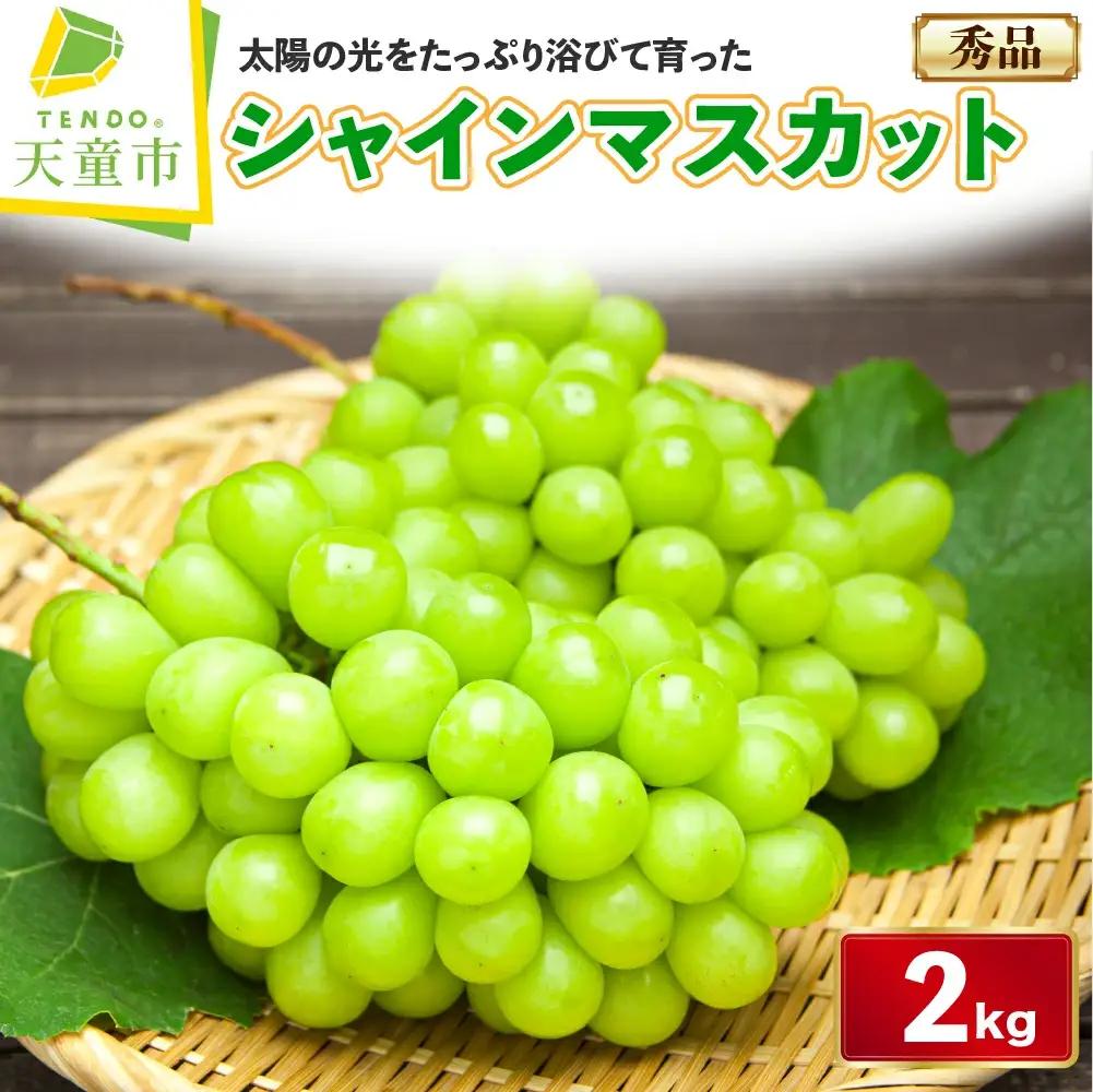 ぶどう ( シャインマスカット ) 約 2kg フルーツ 果物 山形