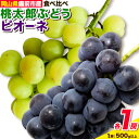 【ふるさと納税】【2025年発送】ぶどう 桃太郎ぶどう ピオーネ 各1房（500g以上） 岡山県備前市産 種なし フルーツパークびぜん 《8月中旬-9月中旬頃出荷》岡山県 備前市 葡萄 フルーツ 果物