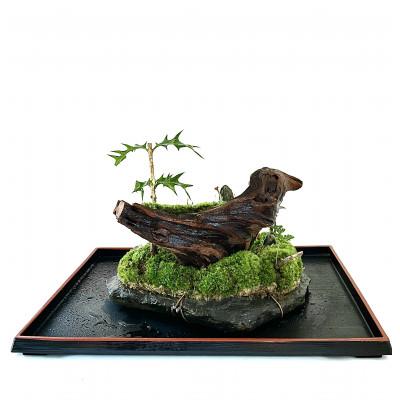 ふるさと納税 豊川市 苔盆景川石山水画は、心を癒す美しい自然の景観をお部屋に届けるアイテムです。 |  | 03