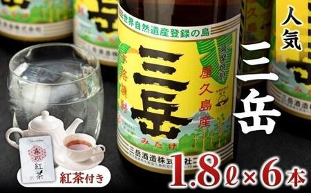焼酎一升瓶 三岳6本+紅茶セットプラケース