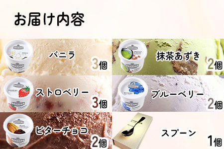 アイス ご当地アイス12個とアイス専用スプーン（シルバー1本）の13点セット [AICN002]