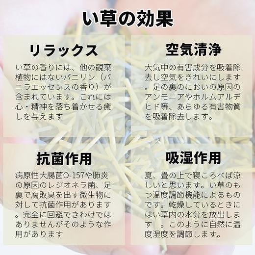 国産い草ラグ スベリ止め付き DX式部 ベージュ 200×200