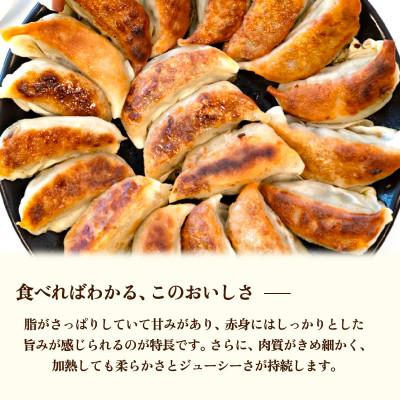 ふるさと納税 茨城町 冷凍餃子　20個x4袋　(80個) |  | 02