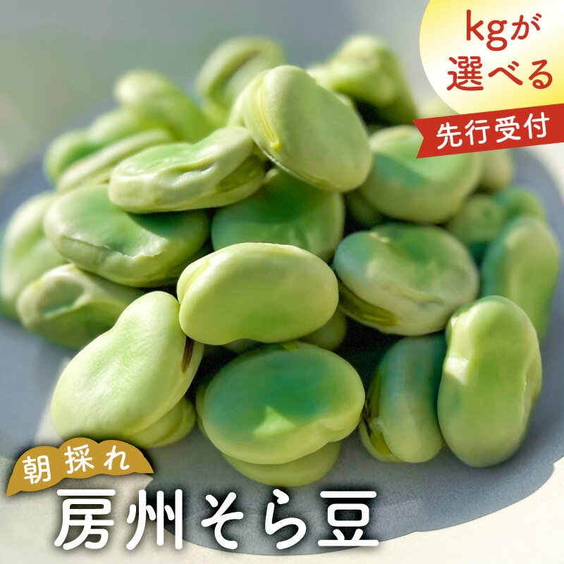 【ふるさと納税】 【kgが選べる】【先行受付 2026年4月25日頃～5月中旬発送予定】朝採れ房州そら豆 千葉県 南房総市 新鮮 香り 甘み シンプル 塩茹で そら豆ご飯 パスタ 春巻き ポタージュ 天ぷら フリット アヒージョ おつまみ 送料無料