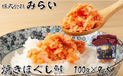 A-49003 焼きほぐし鮭(鮭フレーク)100g×9本