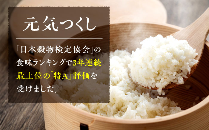 福岡県産 元気つくし 玄米 5kg×1袋 吉富町/株式会社ベネフィス [BGAF026]