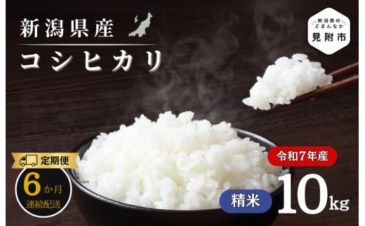 【6か月定期便】R7年産 新潟県産 コシヒカリ 10kg （精米）新潟のど真ん中 見附市 こしひかり