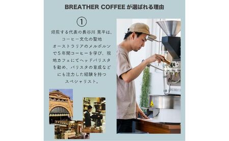 BREATHER COFFEE 珈琲飲み比べセット100g x 3袋 挽き方選択可 コーヒー 豆 極細引き エスプレッソ用 中粗挽き ペーパードリップ用 スペシャリティコーヒー 中粗挽き