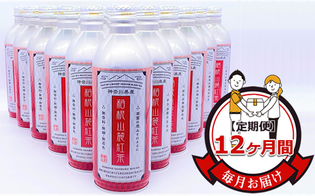 【定期便】毎月お届け（12ヶ月間）：箱根山麓紅茶リシール缶490ｇ×24本入【お茶 足柄茶 神奈川県 南足柄市 】