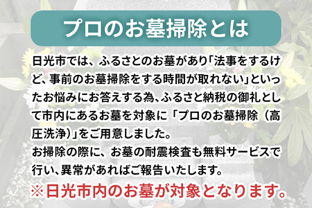 ふるさと日光安心サポート プロのお墓クリーニング(高圧洗浄)【法事前などの前に】耐震検査サービス付き｜墓参り お掃除 クリーニング 耐震検査 お線香 お供え ご先祖様 供養 お参り 日光市 石のしんせ