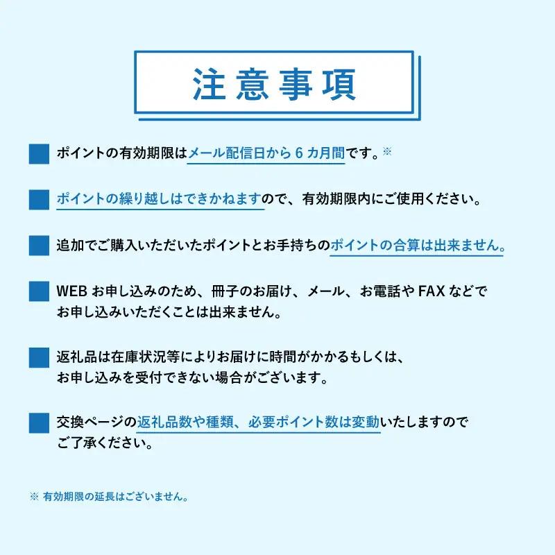 【静岡市】あとから選べるWEBカタログギフト（寄附30万円コース）90000ポイント｜寄附した後にゆっくり返礼品が選べて便利！対象返礼品続々追加中［ 静岡 カタログポイント 有効期限6か月 対象商品続