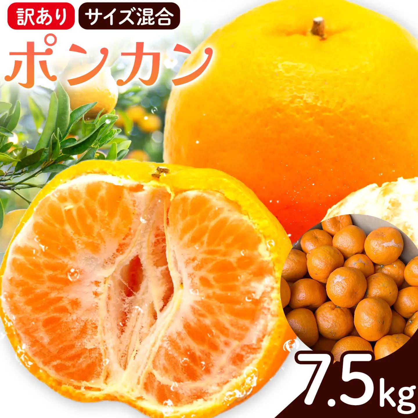 訳あり ポンカン サイズ混合 7.5kg エイワ商店