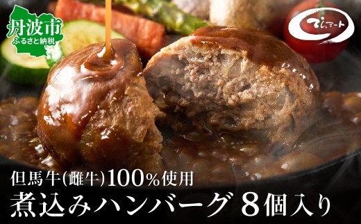 但馬牛 煮込みハンバーグ 8個入り てらミート特製 兵庫県丹波市産 雌牛こだわり 自然豊かな牧場育ち