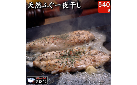 
                  【7営業日以内発送】 ふぐ 一夜干し ふぐ干物 フグ一夜干し 河豚一夜干し とらふぐ ふぐ フグ 河豚 ふぐ開き ふぐ干し魚 高級魚 海鮮干物 国産ふぐ 海鮮 お取り寄せ 冷凍干物 おつまみ おかず 下関 山口県
                