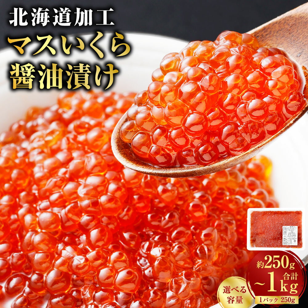 【ふるさと納税】【14営業日以内に発送】マスいくら 醤油漬け ＜選べる容量＞ 250g / 500g /1kg イクラ いくら 海鮮 特製醤油だれ 魚卵 冷凍 冷凍配送 小分け パック 万能 厳選 ご飯のお供 海鮮丼 イクラ丼 手巻き寿司 グルメ 料理 北海道 釧路市 送料無料