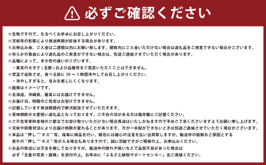岡山 白桃 エース 4～6玉 計約1kg 岡山県産 【2026年7月上旬～8月下旬迄発送予定】 フルーツ 果物 くだもの モモ 桃 もも 冷蔵 国産