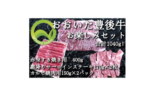 
おおいた豊後牛 お楽しみセット(カルビ焼肉・赤身すき焼き・サーロインステーキ)【1395461】
