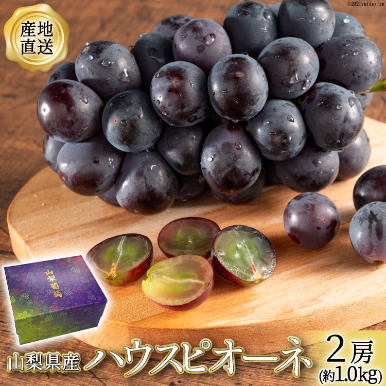 【ふるさと納税】 ぶどう 山梨県産 ハウスピオーネ 2房 約1.0kg 【2026年発送】 [全国農業協同組合連合会 山梨県本部 山梨県 韮崎市 20742856] 山梨 やまなし ブドウ 葡萄 ピオーネ 1キロ フルーツ 果物 JA全農山梨 産地直送 期間限定 季節限定 2026