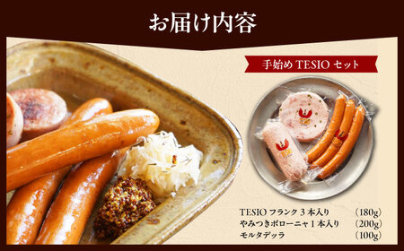 TESIOの自家製ハム＆ソーセージ 『手始めTESIOセット』 豚肉 ハム ソーセージ 小分け 真空パック 沖縄市 / TESIO[BCAD001]